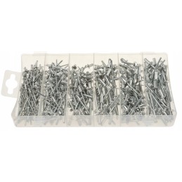 Set of blind rivets. Blind rivets