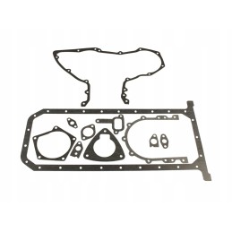 Set of lower engine gaskets set 10000995