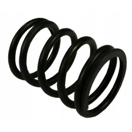 Outer valve spring 80005013 10 c 385 ory