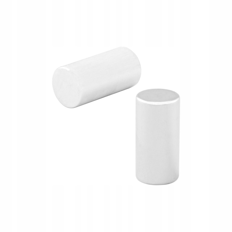 Oil tank magnet 10x20