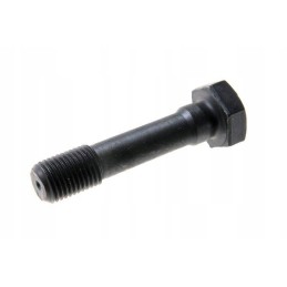 Connecting rod screw c 385 80003044