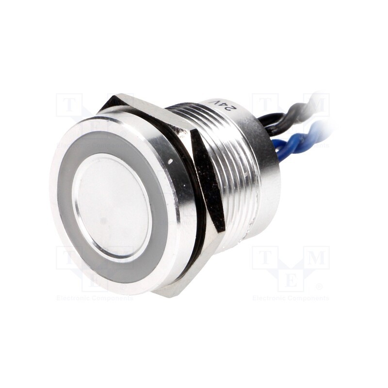 1 pcs x ONPOW - PS193P10YNT1B24VL - Switch: piezoelectric, Pos: 2, SPST-NO, 0.2A/24VAC, 0.2A/24VDC