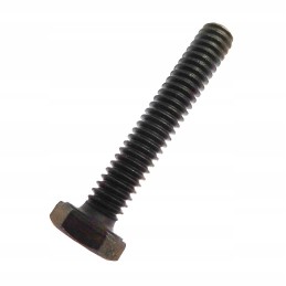 Tensioner bracket bolt