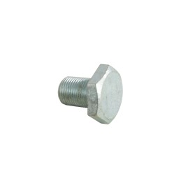 Shaft pulley mounting bolt 32162312