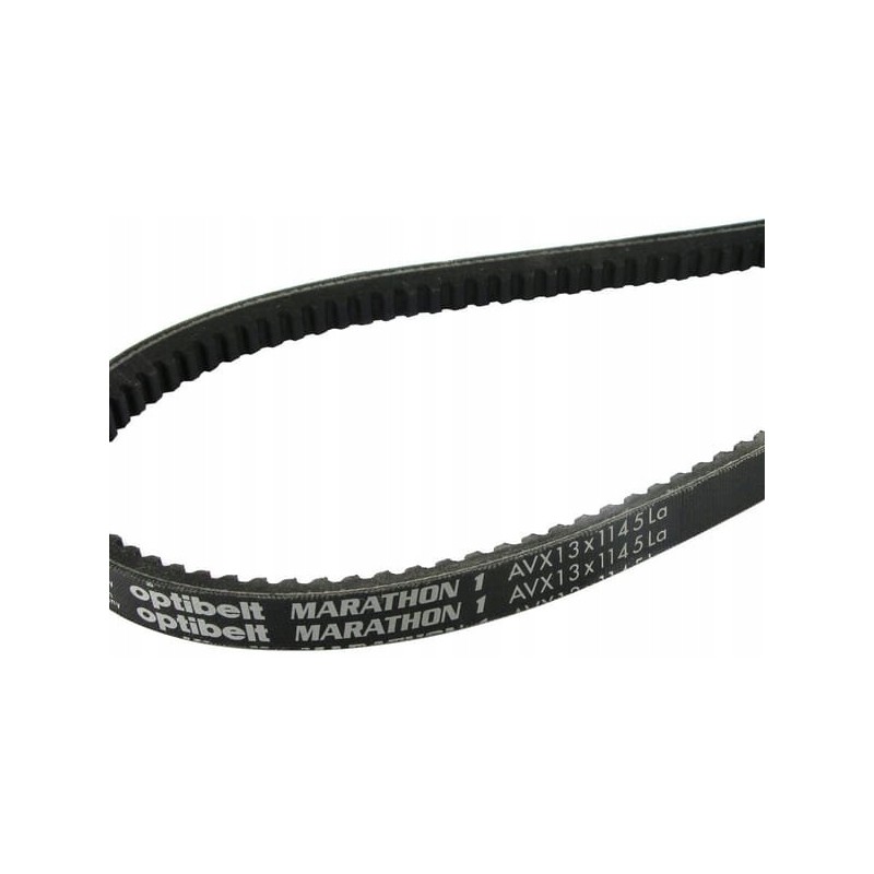 Toothed V-belt Avx 13 1225mm Avx131225 optib