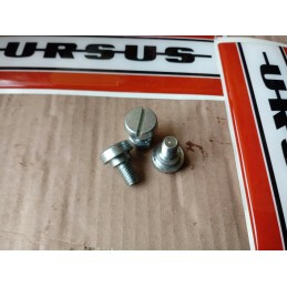 Nickel-plated chrome screw for clocks 360 prl