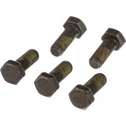 Cepa CR screw m14x1 5x35 10 9 89503097 new holland