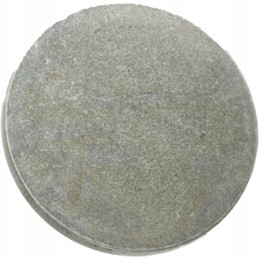 Pressure plate pinion shaft dana spicer