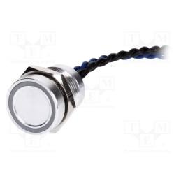 1 pcs x ONPOW - PS165P10YNT1B24V - Switch: piezoelectric, Pos: 2, SPST-NO, 0.2A/24VAC, 0.2A/24VDC