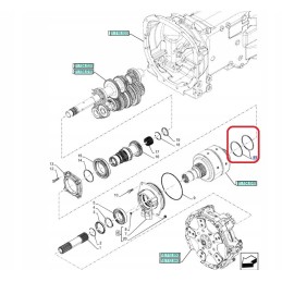 Spring ring New Holland Fiat 5131232