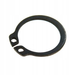 Spring retaining ring 20 z 54620409