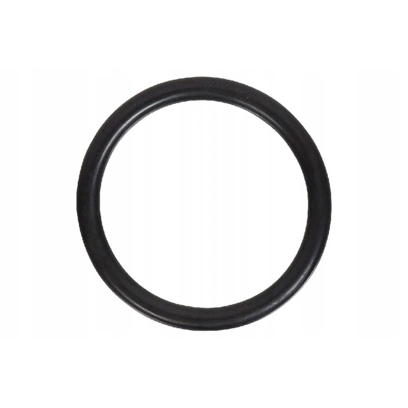 V614604958 mf thermostat gasket