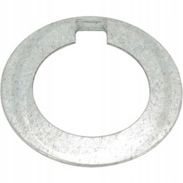 A washer securing the crankshaft gear