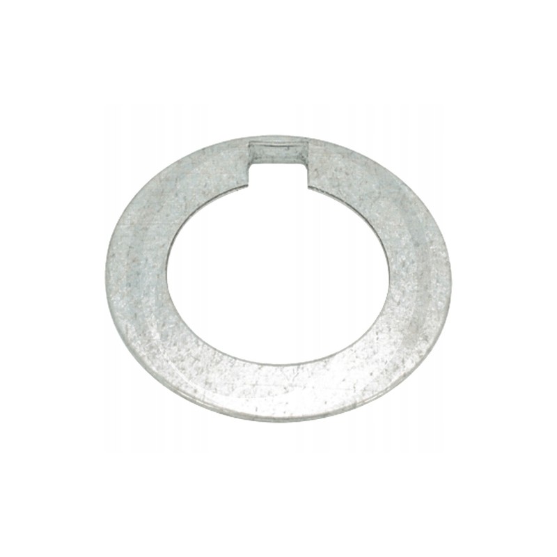 A washer securing the crankshaft gear