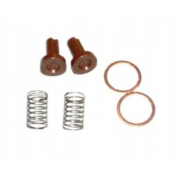 Complete feed pump valve ursus v141001