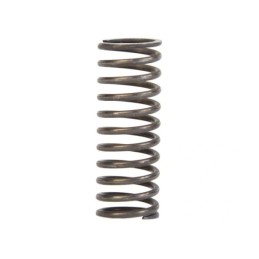 Inner head valve spring Ursus C 330