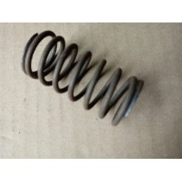 External valve spring for c 360 50505080 pl
