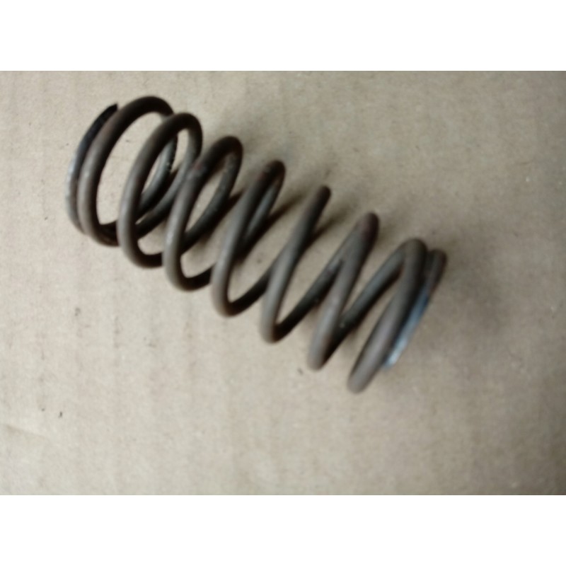 External valve spring for c 360 50505080 pl