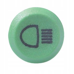 Renault Fendt Same G312900020020 light switch