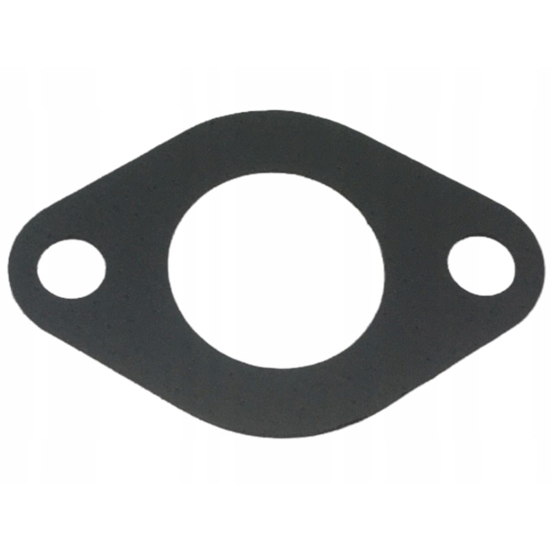 Exhaust manifold gasket c 360 50505270