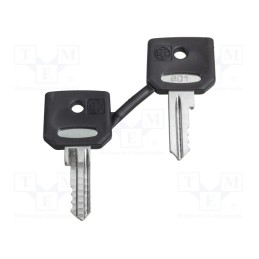1 pcs x SCHNEIDER ELECTRIC - ZBG520E - Key, 22mm, Harmony XB4, 2pcs.