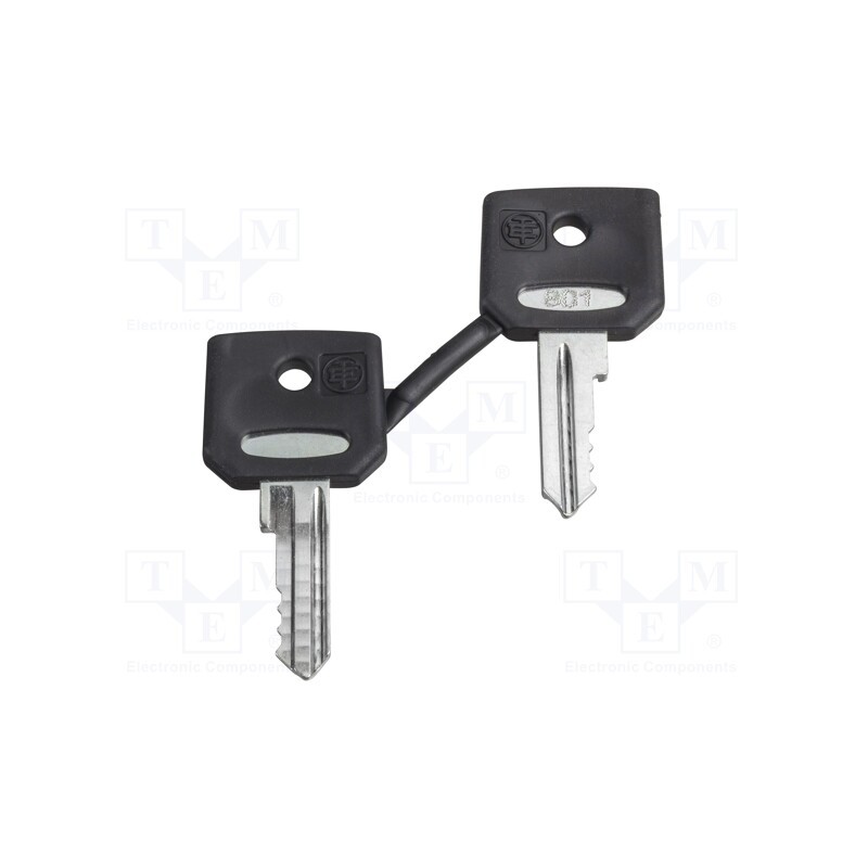 1 pcs x SCHNEIDER ELECTRIC - ZBG520E - Key, 22mm, Harmony XB4, 2pcs.