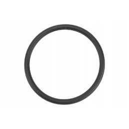 R123273 fuel pump gasket unit