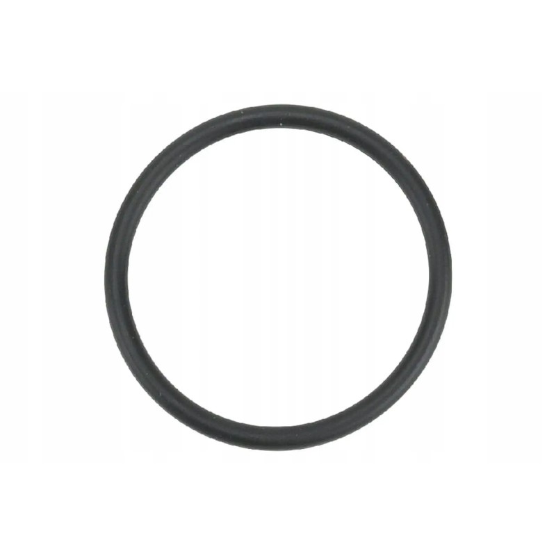 R123273 fuel pump gasket unit