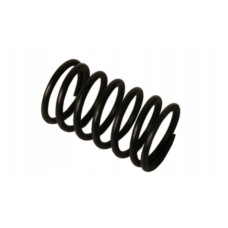 Distributor spring ursus c330 c360 50581510