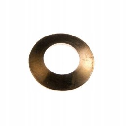 Friction washer satellites c 330