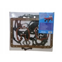 Set of gaskets for the T25 Vladimirec Ruski D21 engine