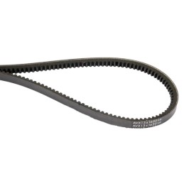 Toothed V-belt avx10x1050la x696614601000