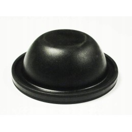 Pilmet 110 42 pump air diaphragm