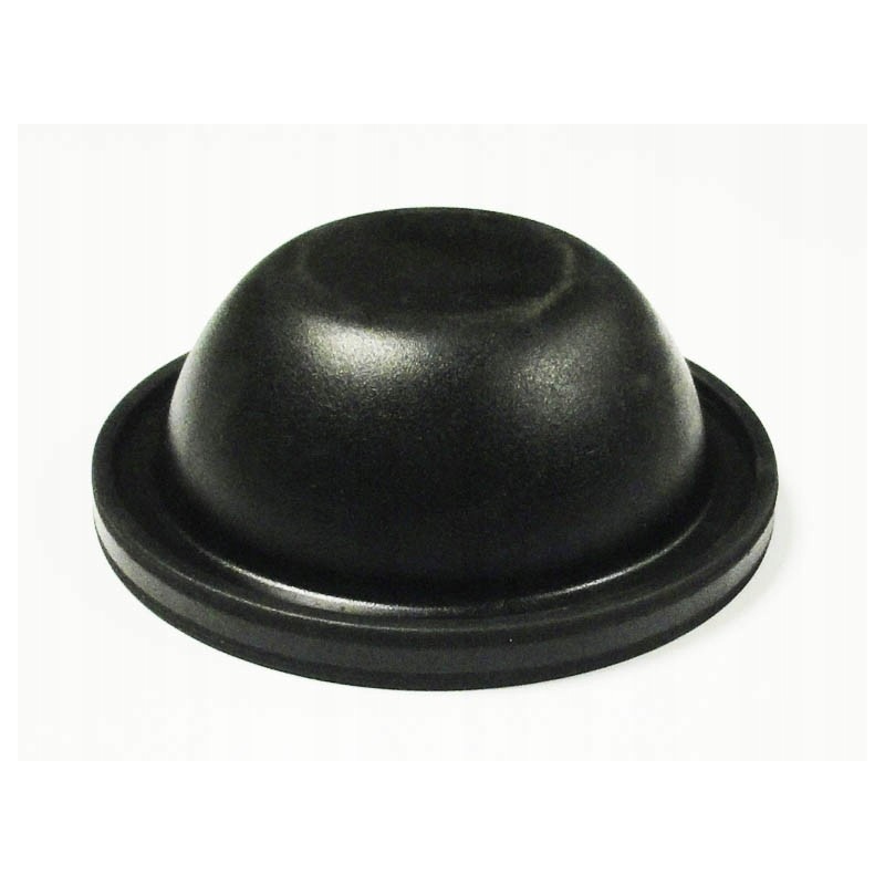 Pilmet 110 42 pump air diaphragm