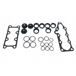 Set of r80 distributor gaskets for mtz80