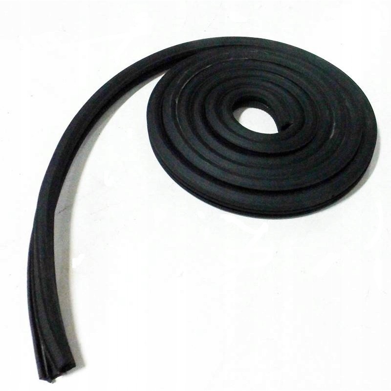 Door seal major 62457948