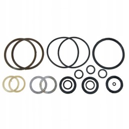 Belarus it 25 actuator seals
