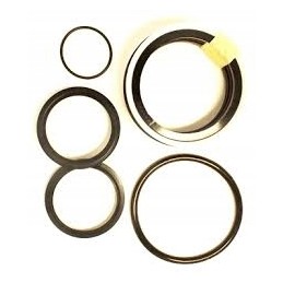 Seal set f 189 cyclops cylinder