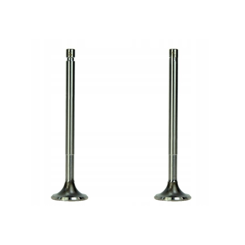 Exhaust valve for C 330, pack of 2, 50008480