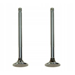 Exhaust valve for C 330, pack of 2, 50008480