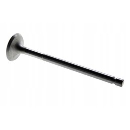 Exhaust valve for C 330, pack of 2, 50008480