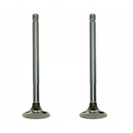 Exhaust valve for C 330, pack of 2, 50008480