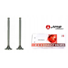 Exhaust valve for C 330, pack of 2, 50008480