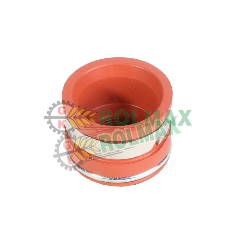 Valve seal New Holland Case 4895347