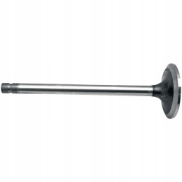 Intake valve 1 groove Fiat 38017136 granite