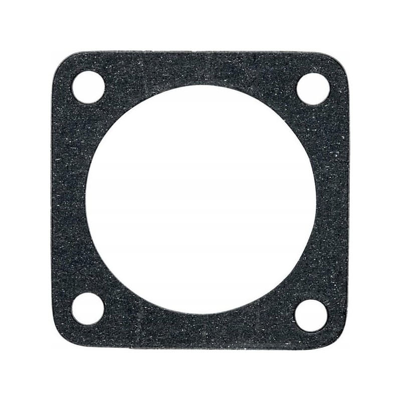 Thermostat gasket 270070011303