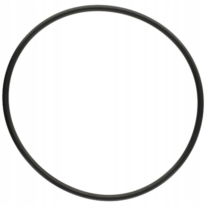 Oring 5450634349606 f824100090580 zf