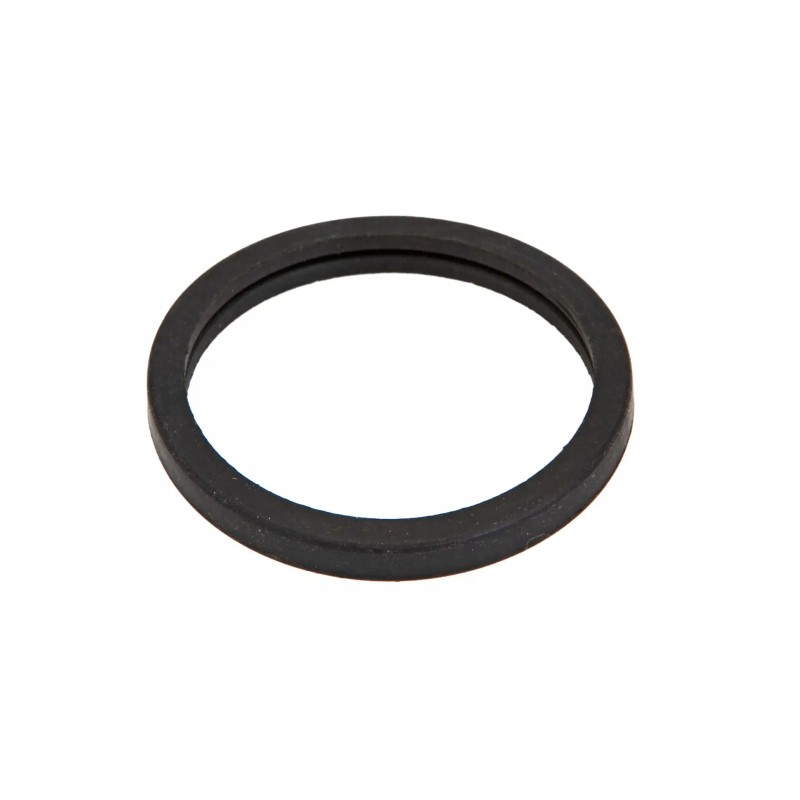 L375 06202 thermostat gasket