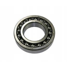 Bearing 1209 rm 1209