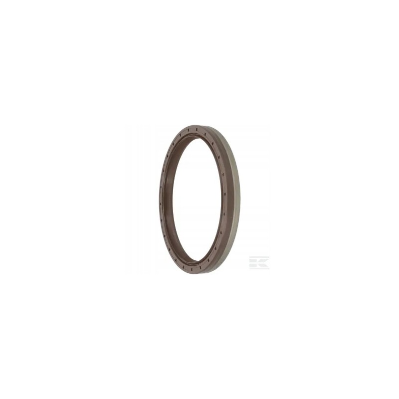 Seal b1bavislrsx7 114x135x13 fkm